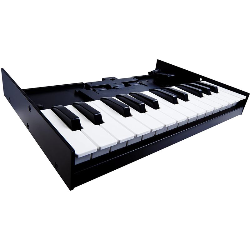 teclado-roland-k25m-para-sintetizadores-ju06-jp08-y-jx03-209332-1