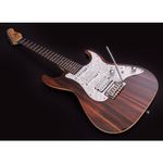 guitarra-electrica-michael-kelly-custom-collection-1965-striped-ebony-1110440-2