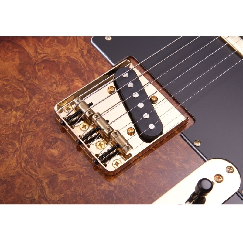 guitarra-electrica-michael-kelly-custom-collection-50-color-burl-burst-ss-1110429-10