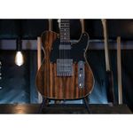 guitarra-electrica-michael-kelly-custom-collection-55-color-striped-ebony-1110430-8