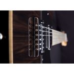 guitarra-electrica-michael-kelly-custom-collection-55-color-striped-ebony-1110430-11