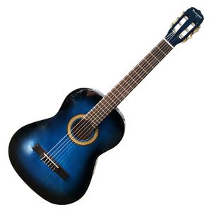 Guitarra acústica Vizcaya ARCG44 - Dark Blue Sunburst