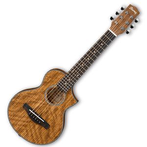 Guitarra acústica Ibanez EWP14WB - color open pore natural (OPN)