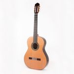 guitarra-acustica-clasica-raimundo-131-ziricote-nylon-cedro