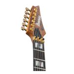 guitarra-electrica-ibanez-rgt1220pb-premium-antique-brown-stained