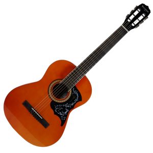Guitarra acústica Vizcaya ARFG94 - Natural