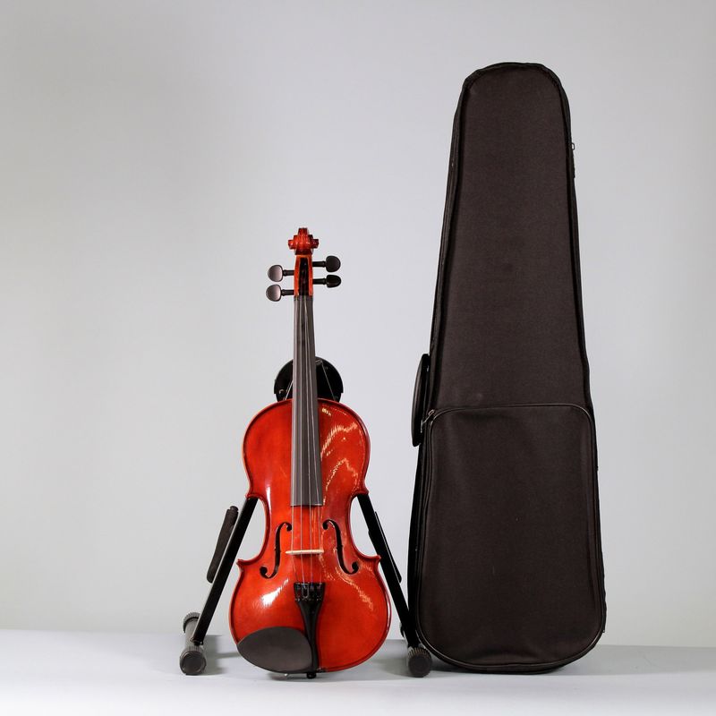 1-frv50-violin-3-4-freeman-classic-openbox-208429-1