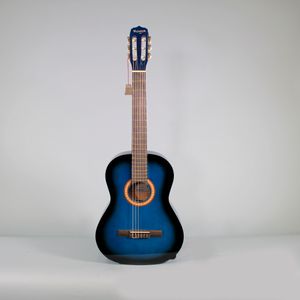 Guitarra acústica Vizcaya ARCG44 - Dark Blue Sunburst Openbox