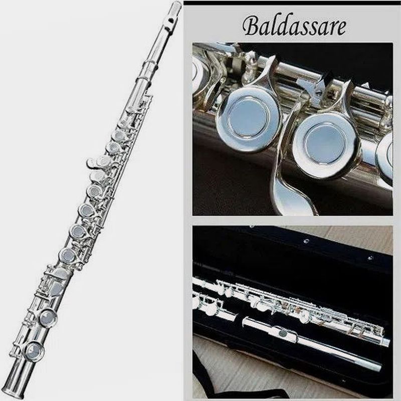 2-flauta-traversa-baldassare-6456se-mecanismo-en-e-mi-silver-openbox-206893-1