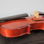 2-violin-freeman-classic-4-4-frv50-openbox-208428-1