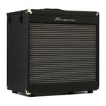 1-gabinete-de-bajo-ampeg-pf-115he-450w-1108743