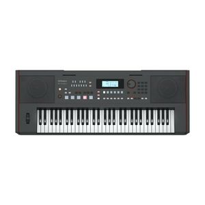 Teclado arranger Roland E-X50