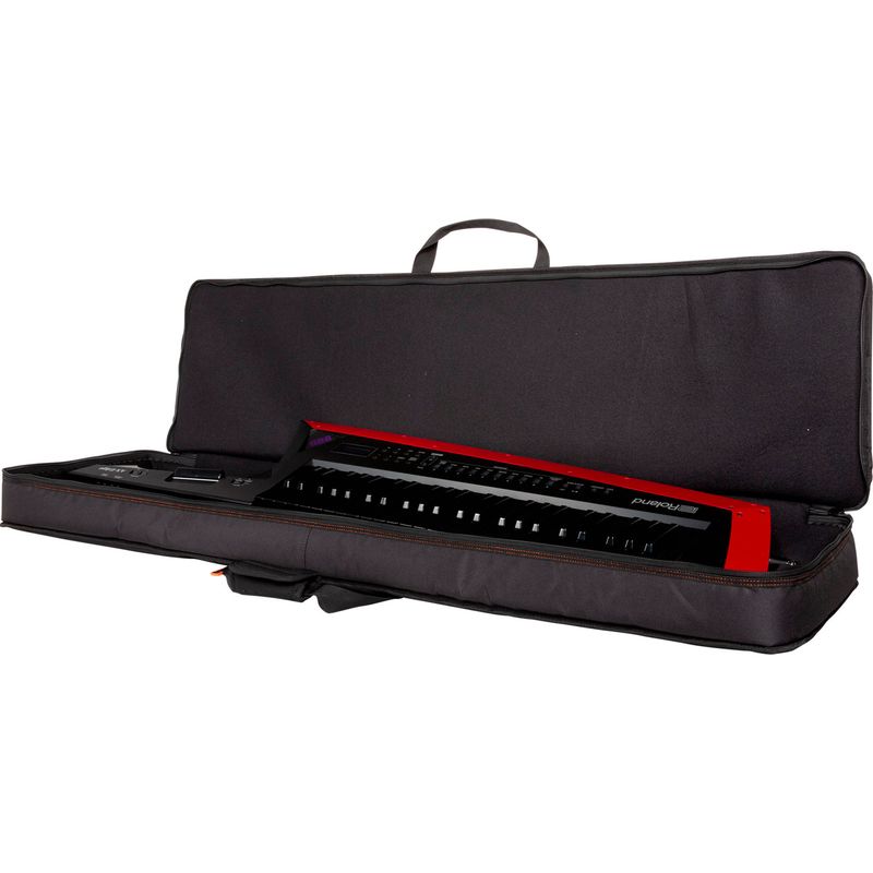 2-funda-de-teclado-roland-cb-bax-para-keytar-ax-edge-213395