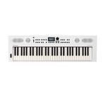 1-teclado-personal-roland-go-keys-5-61-teclas-wh-213453