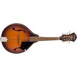 4-mandolina-fender-pm-180e-mandolin-aged-cognac-burst-1113344