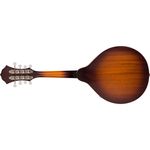 6-mandolina-fender-pm-180e-mandolin-aged-cognac-burst-1113344