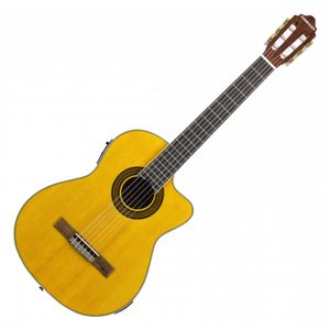 Guitarra electroacústica Freeman CG190 NT