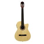 4-guitarra-electroacustica-vizcaya-4-4-con-funda-fc-39ce-n-cw-213101