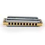 2-armonica-hohner-marine-band-thunderbird-low-f-diatonica-m201116x-1112912
