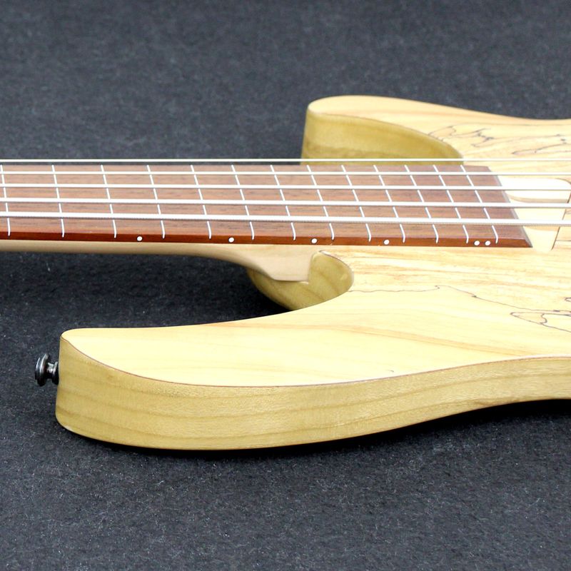 1095220-Fretless-.JPG