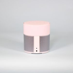 Parlante Bluetooth Bose Home Speaker 300 - Silver OPENBOX