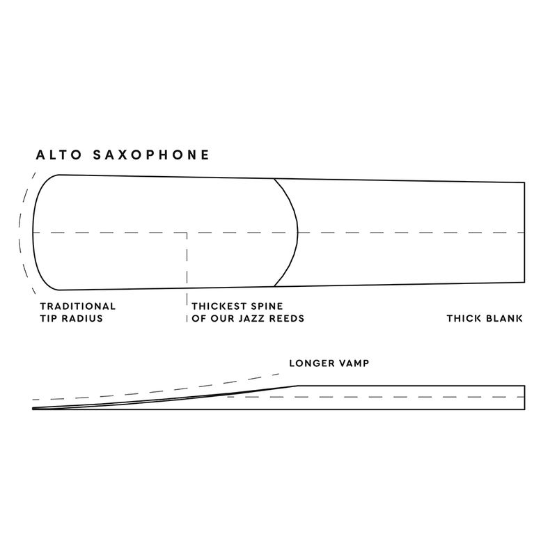 SAXO ALTO REED.jpg