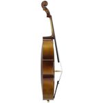 2-violoncello-freeman-classic-4-4-cp102h-ltb-214186-n2