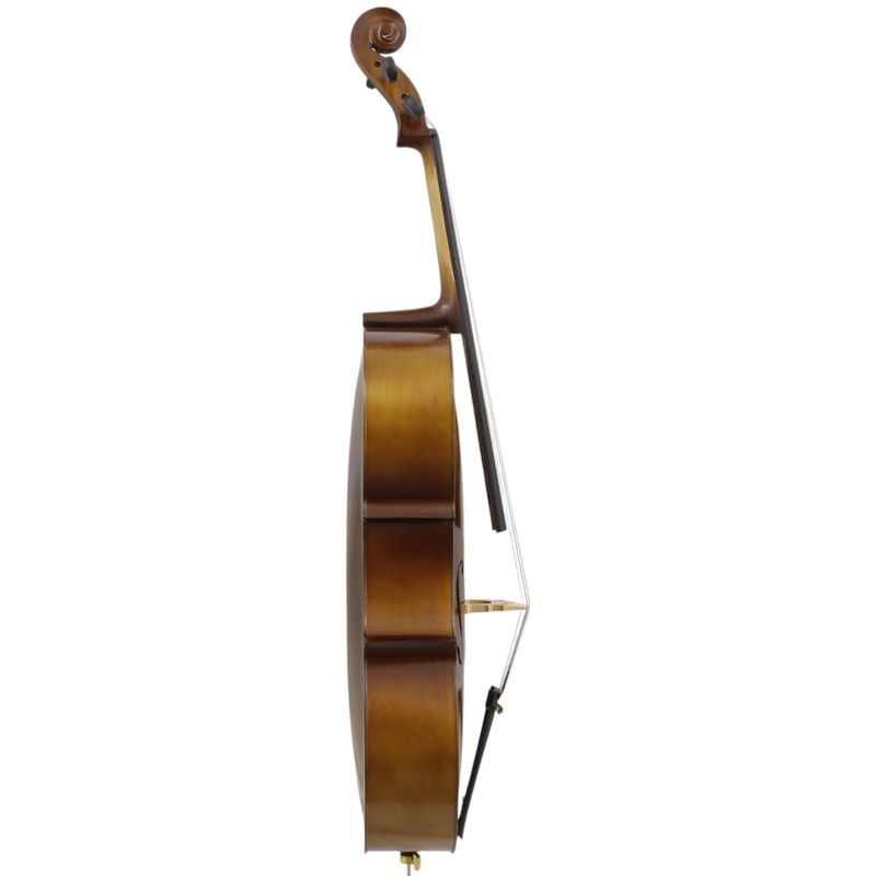 2-violoncello-freeman-classic-4-4-cp102h-ltb-214186-n2