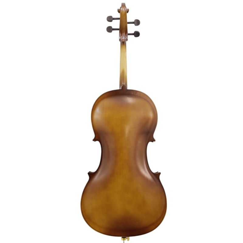 1-violoncello-freeman-classic-4-4-cp102h-ltb-214186-n2