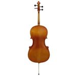 3-violoncello-freeman-classic-1-2-cp101e-smt-214189