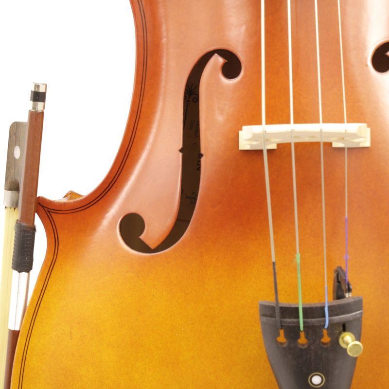 5-violoncello-freeman-classic-4-4-cp101e-smt-214188