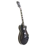 2-guitarra-electrica-de-caja-dangelico-premier-ss-black-flake-seminuevo-1116003