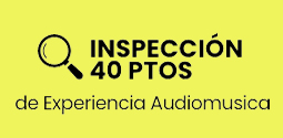 inspección 40 pts